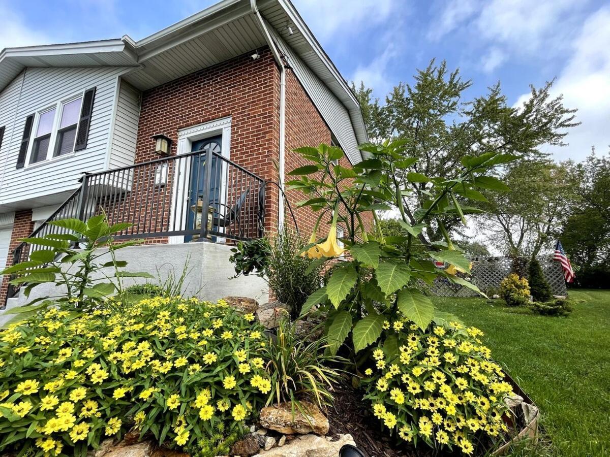 Schaumburg Paradise Oasis With A Secret Garden And Private Pool מראה חיצוני תמונה
