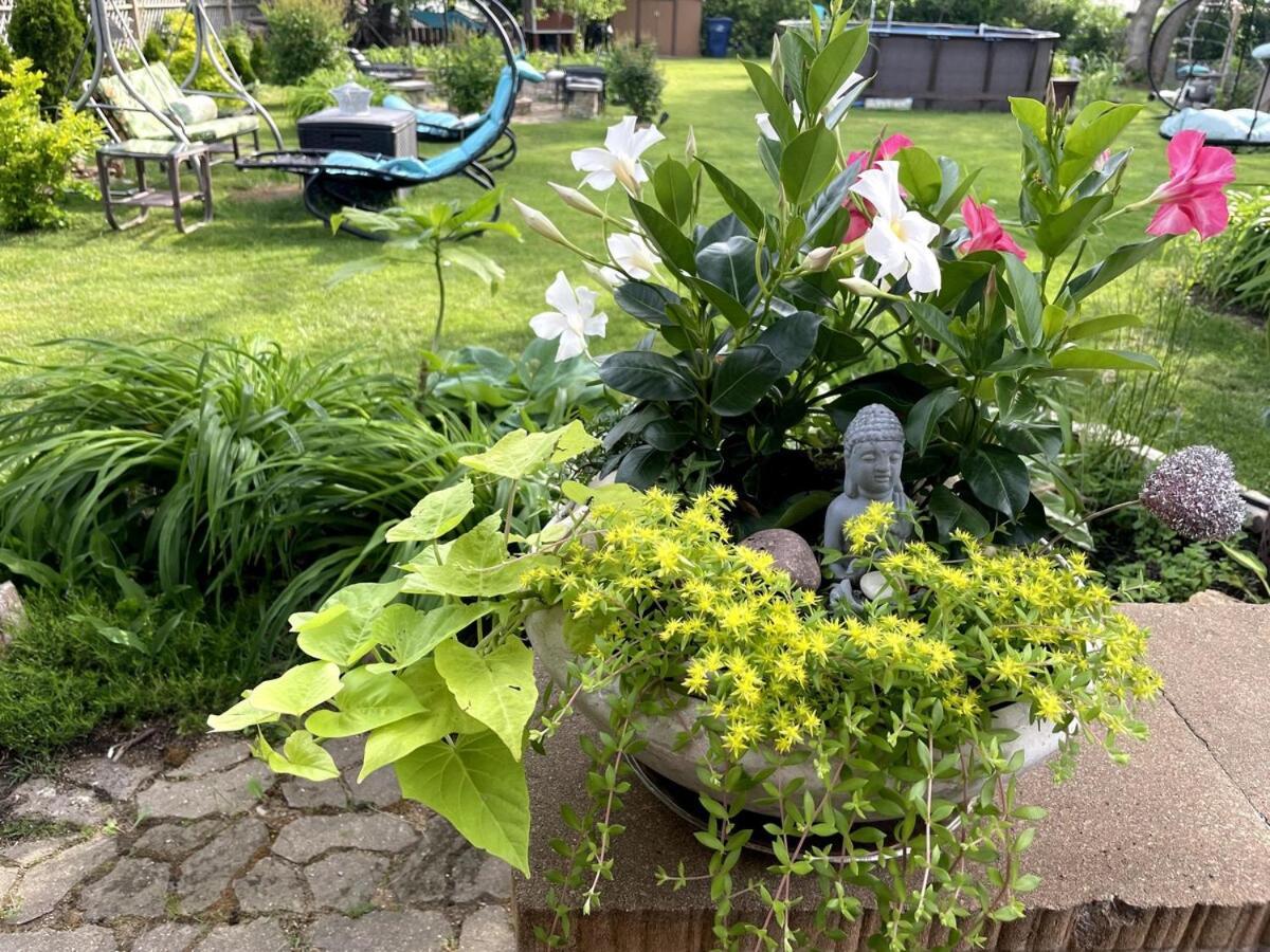Schaumburg Paradise Oasis With A Secret Garden And Private Pool מראה חיצוני תמונה